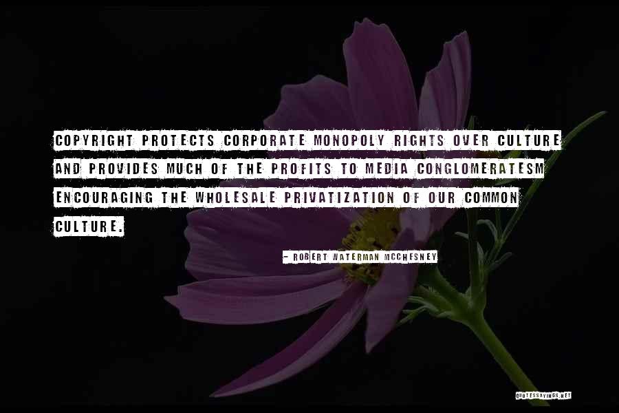 Robert Waterman McChesney Quotes 364787 Robert Waterman McChesney Quotes 364787