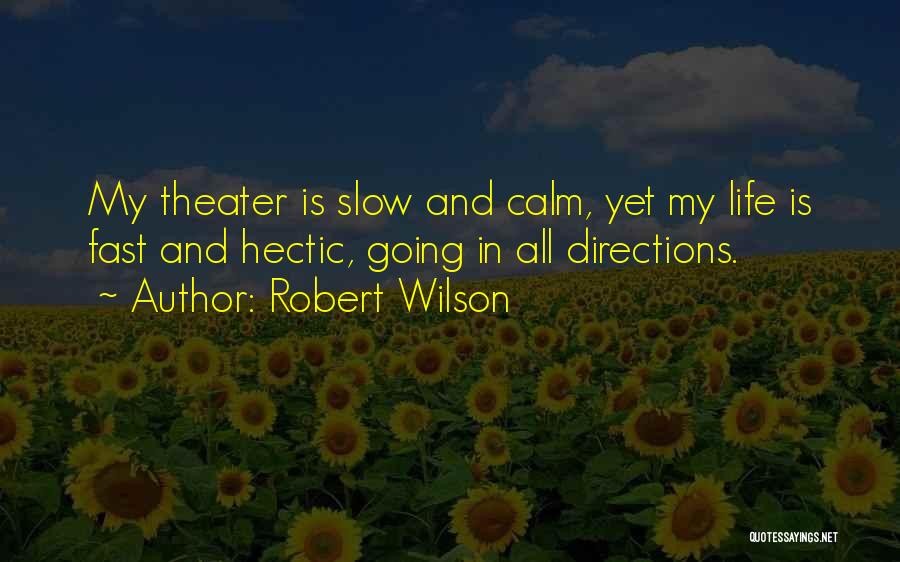 Robert Wilson Quotes 1966998