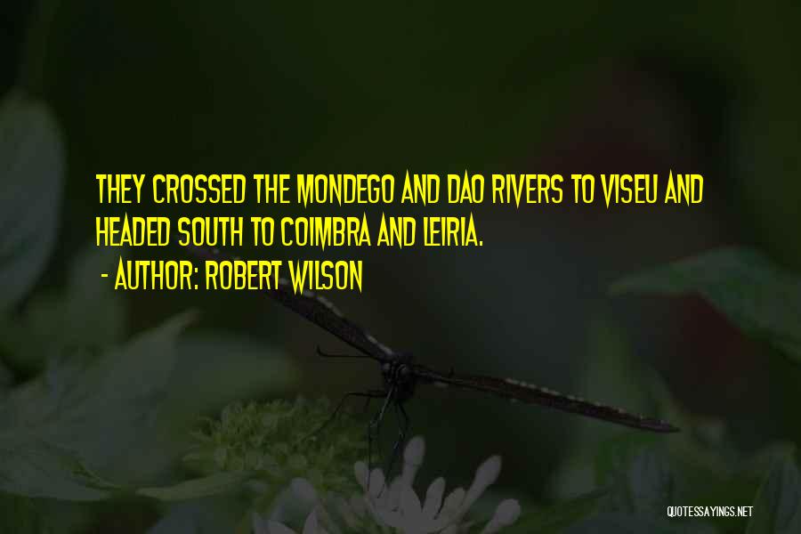 Robert Wilson Quotes 380952