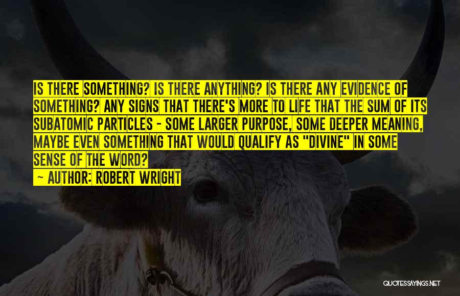 Robert Wright Quotes 847536