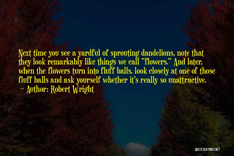 Robert Wright Quotes 857736