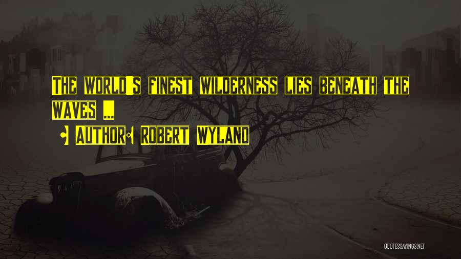 Robert Wyland Quotes 280873