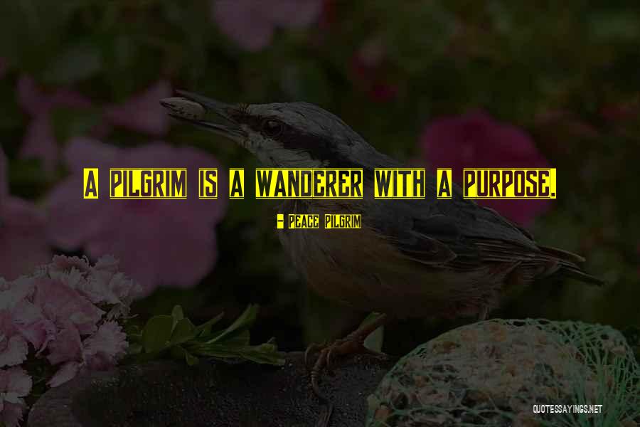 Robertinho De Paula Quotes By Peace Pilgrim Robertinho De Paula Quotes By Peace Pilgrim