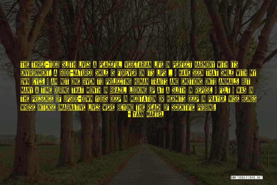 Robertinos Restaurant Quotes By Yann Martel Robertinos Restaurant Quotes By Yann Martel