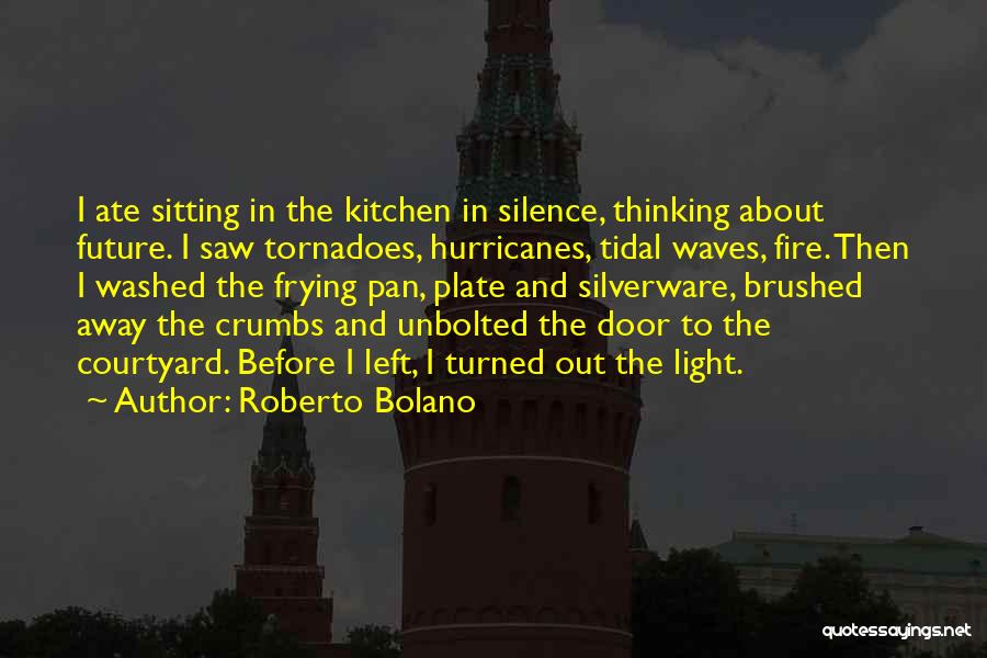 Roberto Bolano Quotes 1359625