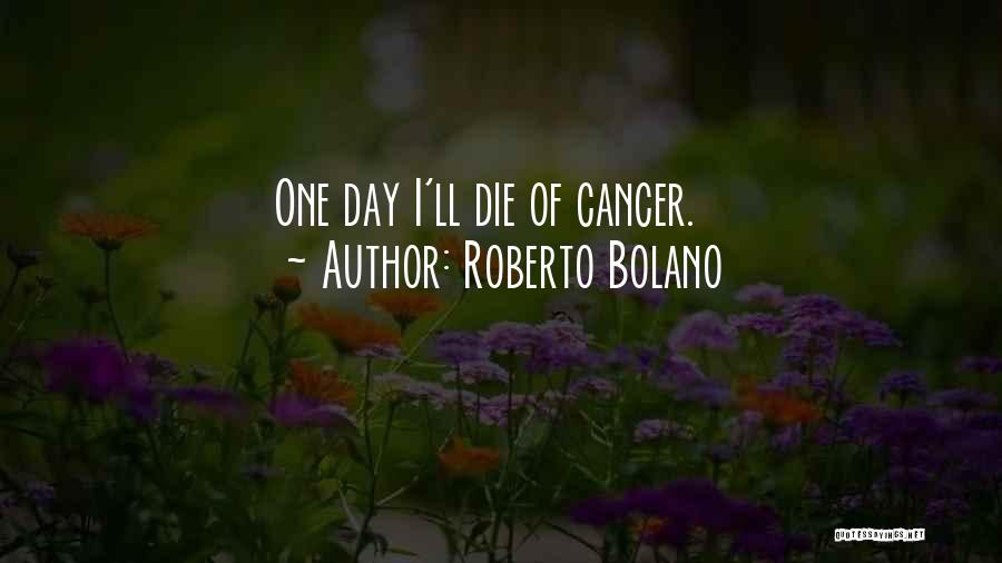 Roberto Bolano Quotes 1441066