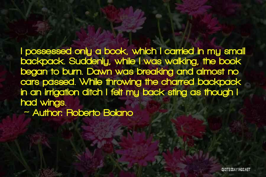 Roberto Bolano Quotes 1744309