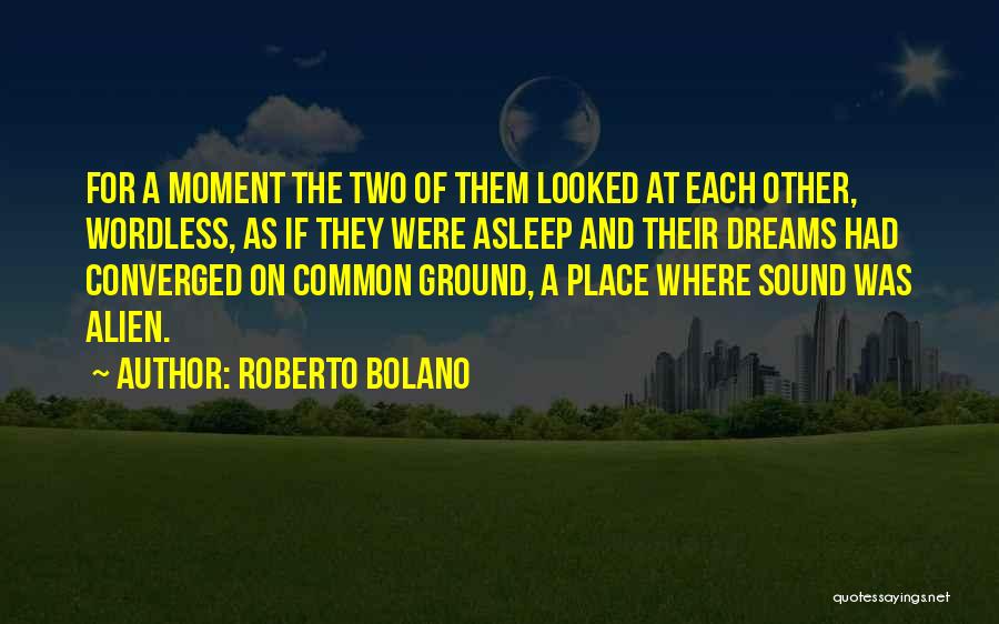 Roberto Bolano Quotes 1923919