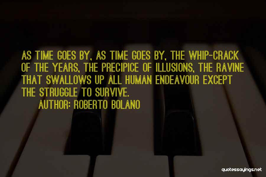 Roberto Bolano Quotes 2073303