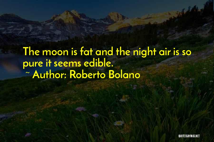 Roberto Bolano Quotes 208195