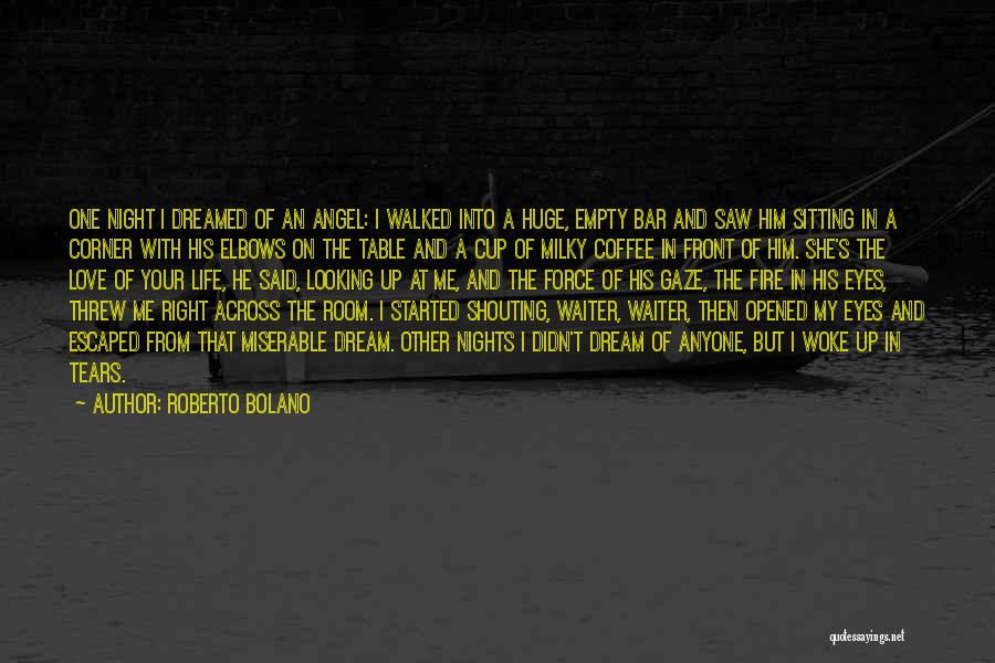 Roberto Bolano Quotes 2146611