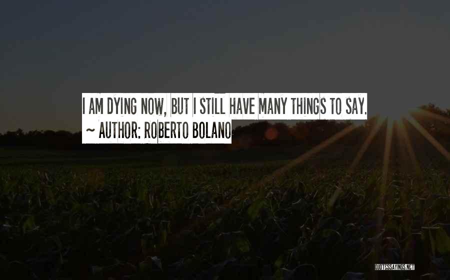 Roberto Bolano Quotes 2266586