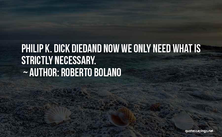 Roberto Bolano Quotes 510014