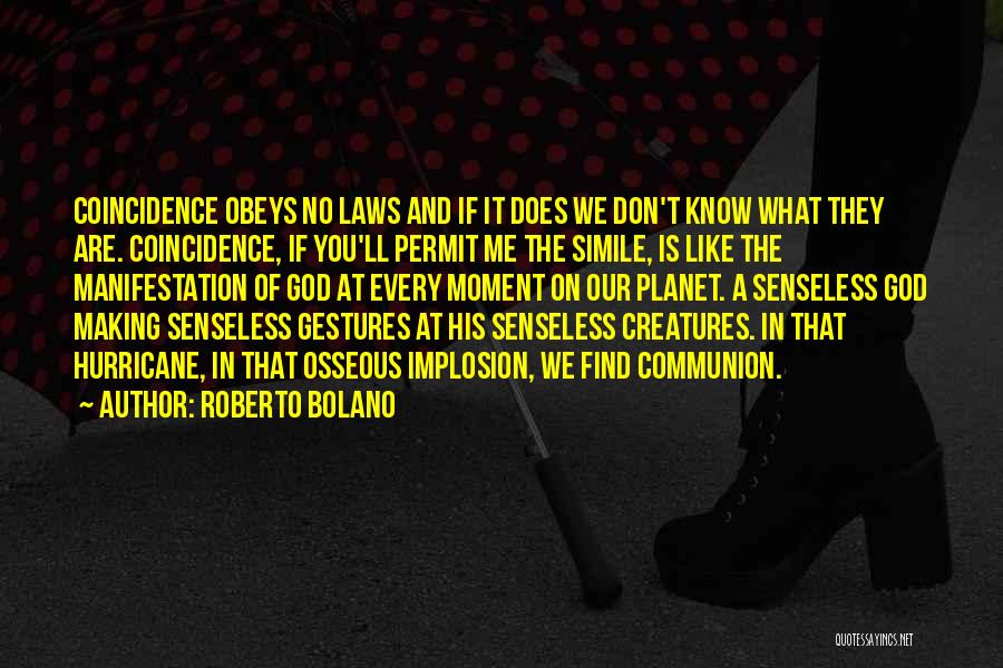 Roberto Bolano Quotes 695571