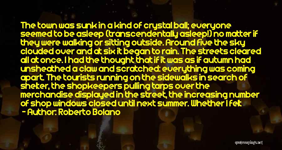 Roberto Bolano Quotes 738461