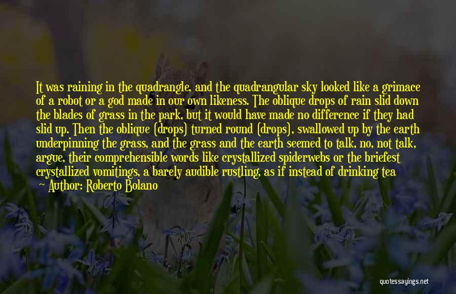 Roberto Bolano Quotes 977761