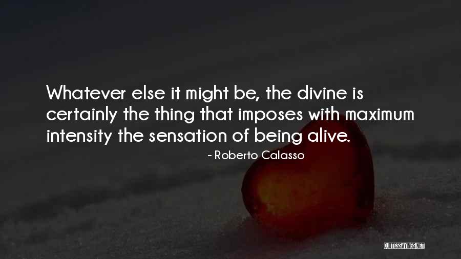 Roberto Calasso Quotes 679801