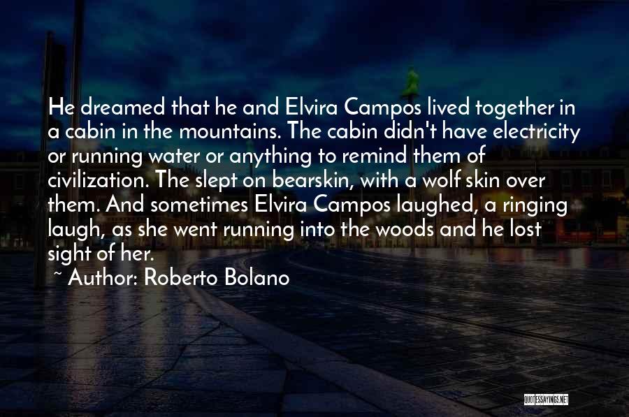Roberto Campos Quotes By Roberto Bolano