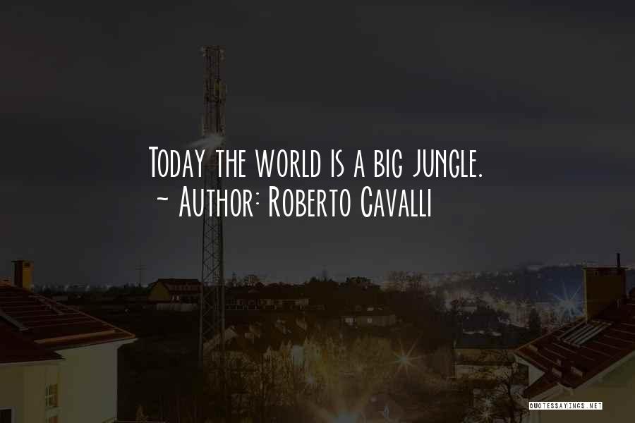 Roberto Cavalli Quotes 413941