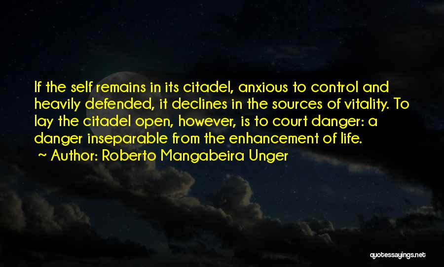 Roberto Mangabeira Unger Quotes 811560