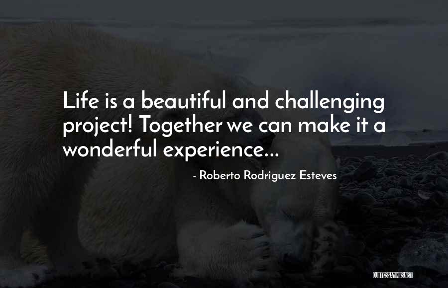 Roberto Rodriguez Esteves Quotes 1282113