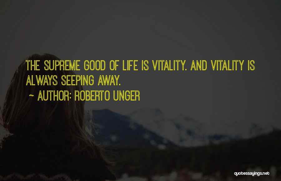 Roberto Unger Quotes 1993819