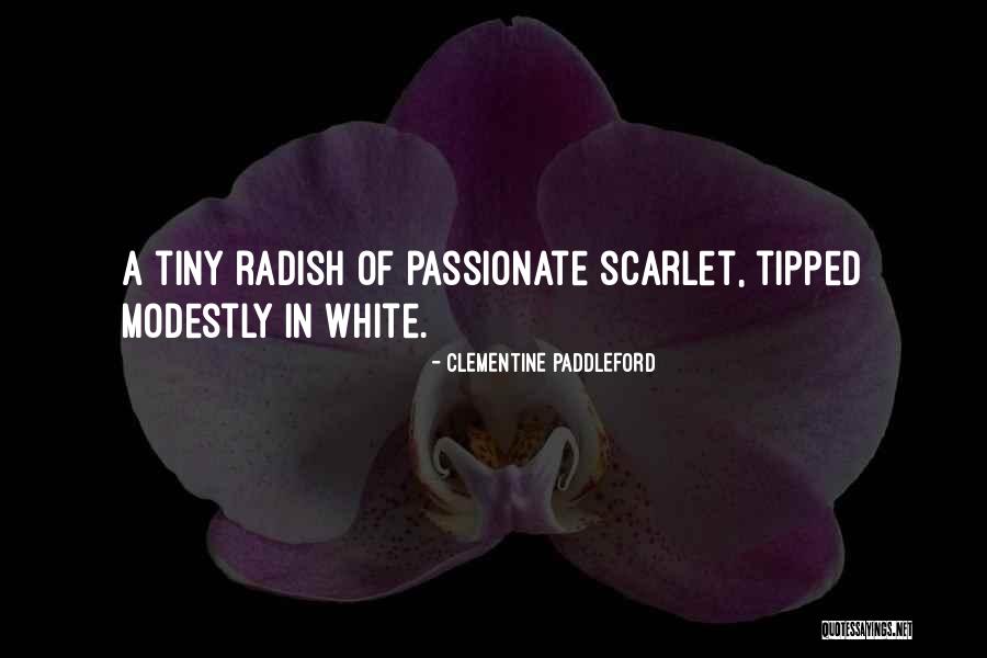 Robertozzi Podiatrist Quotes By Clementine Paddleford Robertozzi Podiatrist Quotes By Clementine Paddleford