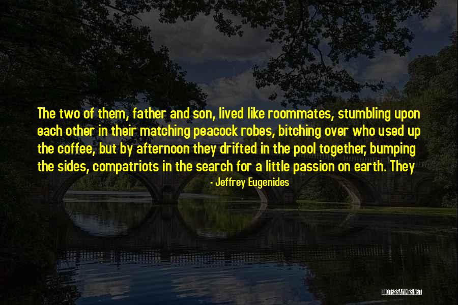 Robes Quotes By Jeffrey Eugenides Robes Quotes By Jeffrey Eugenides
