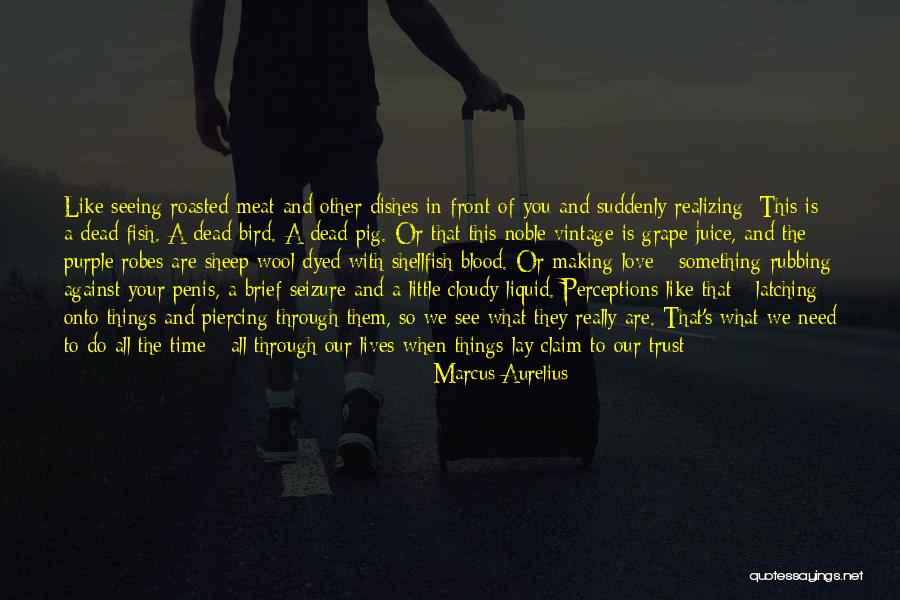 Robes Quotes By Marcus Aurelius Robes Quotes By Marcus Aurelius