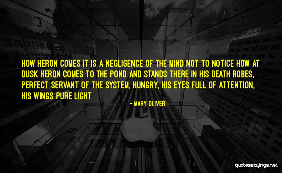 Robes Quotes By Mary Oliver Robes Quotes By Mary Oliver