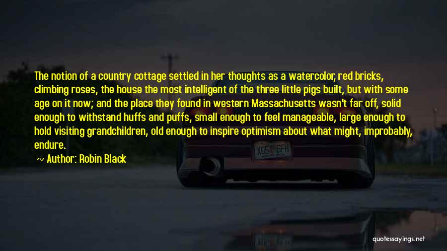 Robin Black Quotes 89105