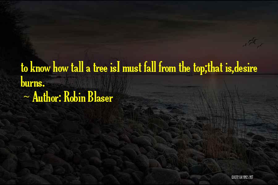 Robin Blaser Quotes 1881722