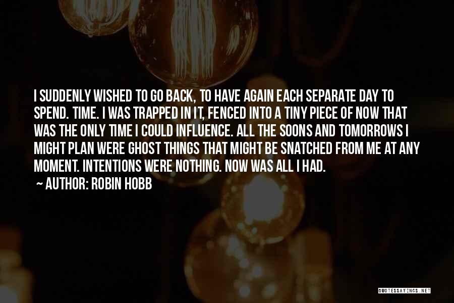 Robin Hobb Quotes 1544672