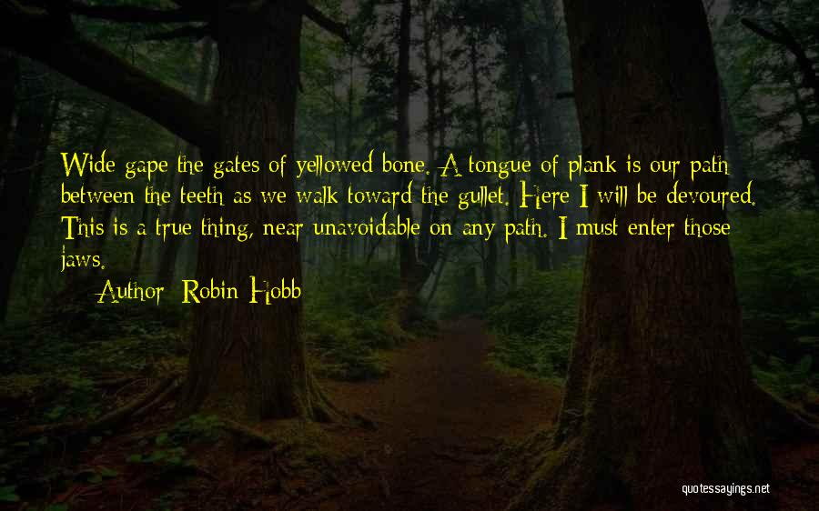 Robin Hobb Quotes 398189