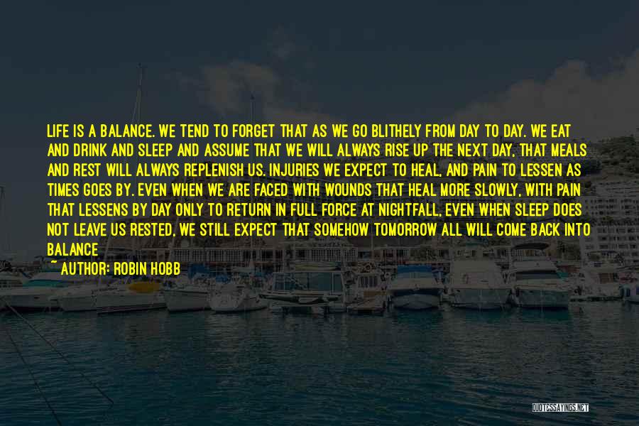 Robin Hobb Quotes 543709