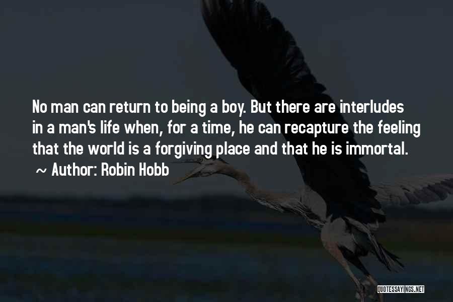 Robin Hobb Quotes 943804