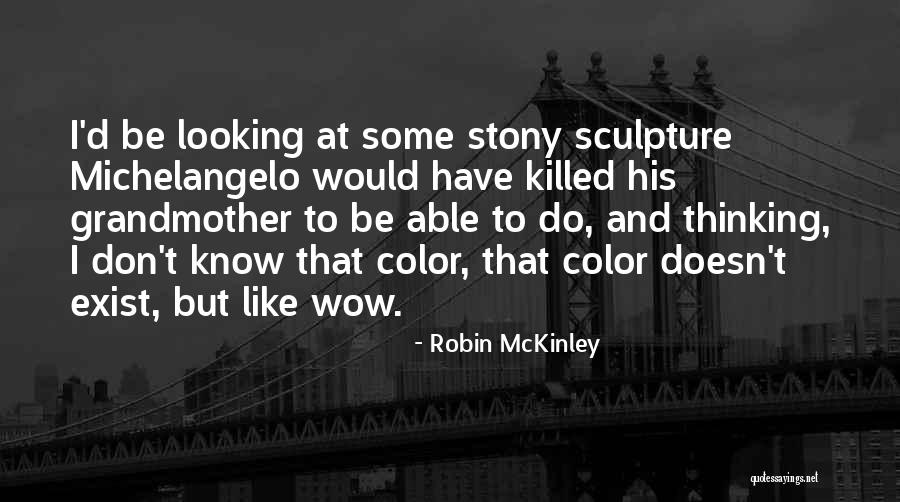 Robin McKinley Quotes 1278546