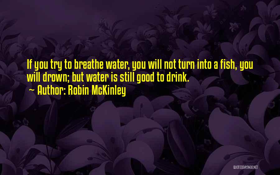 Robin McKinley Quotes 1552357