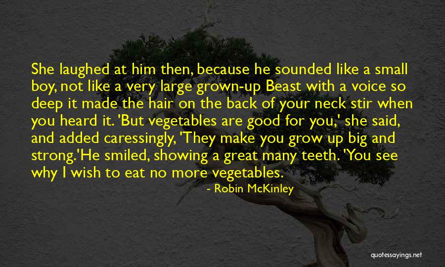 Robin McKinley Quotes 170945 Robin McKinley Quotes 170945