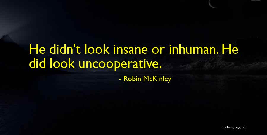 Robin McKinley Quotes 1778043