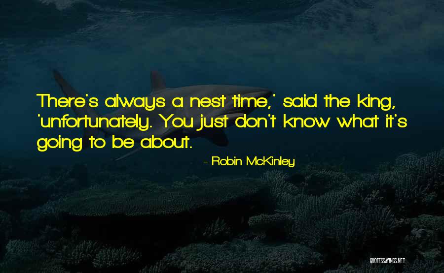 Robin McKinley Quotes 1799759