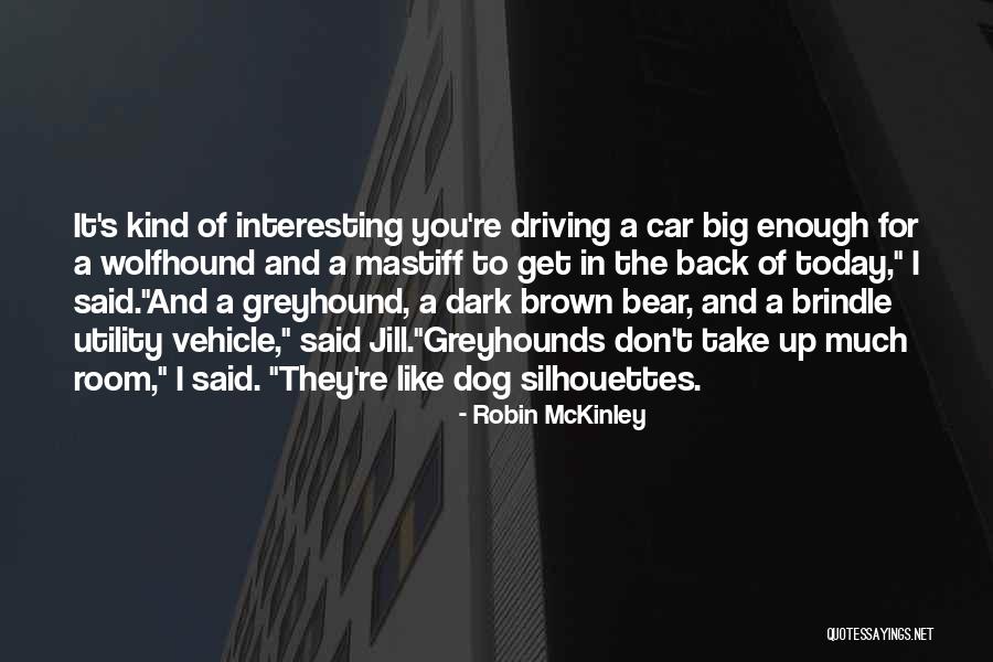 Robin McKinley Quotes 2019494 Robin McKinley Quotes 2019494