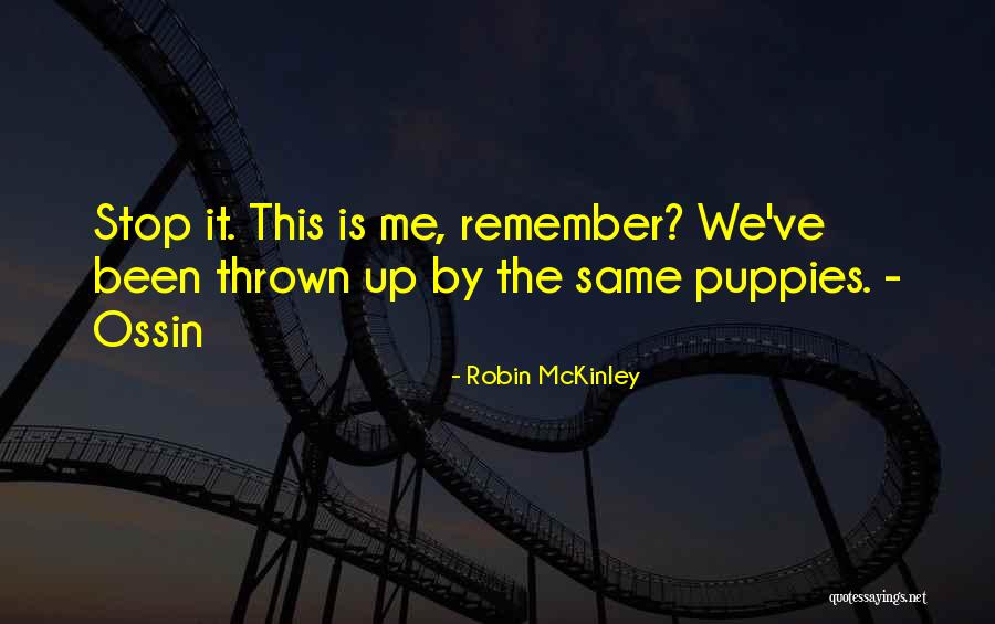 Robin McKinley Quotes 2028351