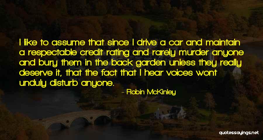 Robin McKinley Quotes 2110183