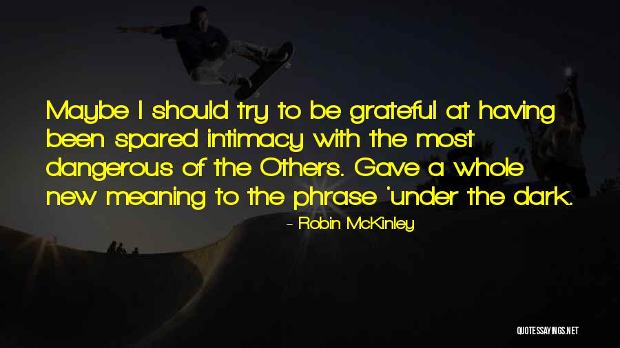 Robin McKinley Quotes 229991 Robin McKinley Quotes 229991