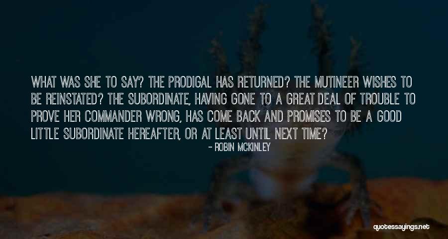 Robin McKinley Quotes 241892