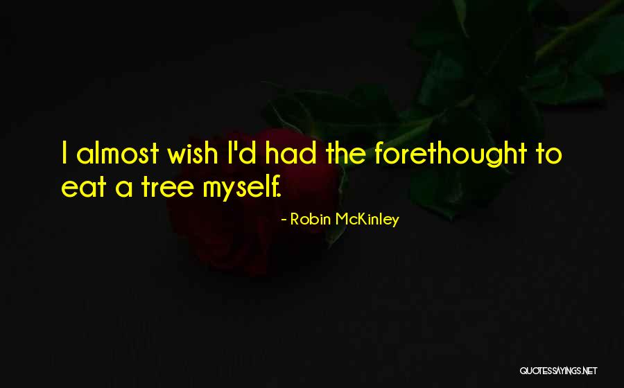 Robin McKinley Quotes 358581