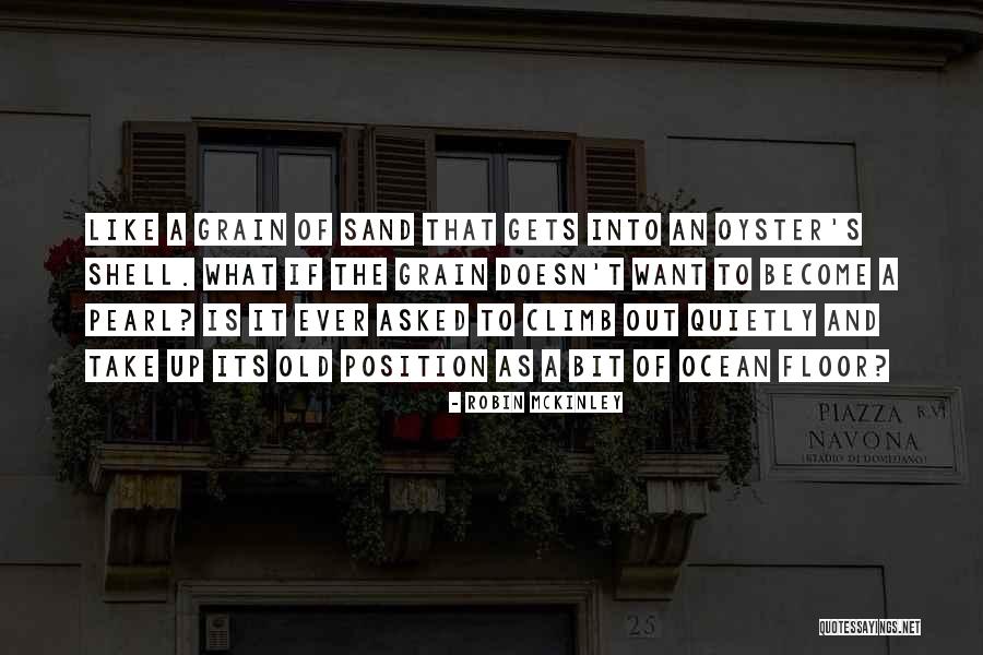 Robin McKinley Quotes 546568 Robin McKinley Quotes 546568
