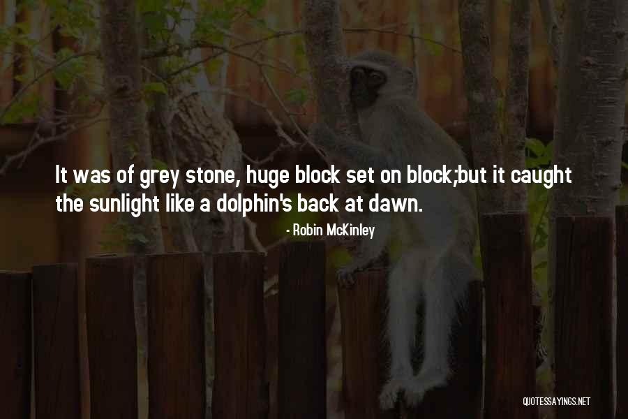 Robin McKinley Quotes 677716 Robin McKinley Quotes 677716