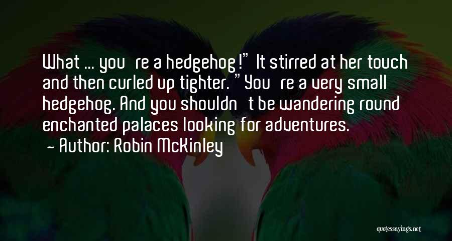 Robin McKinley Quotes 770924